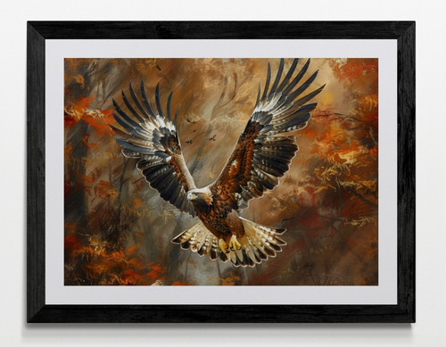 Flying eagle bird framed - flying,