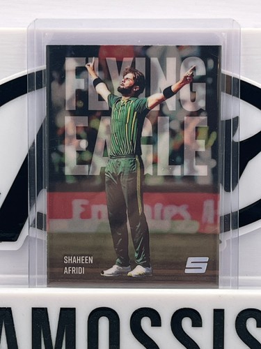 Sportsnection series - 3,