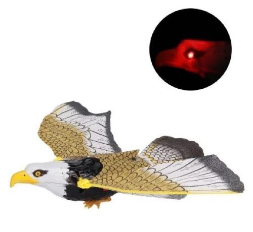 Electric flying eagle bird - eagle,