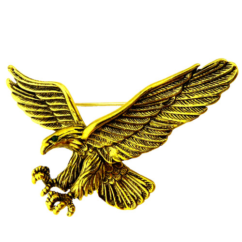 Flying eagle wild bird prey - flying,