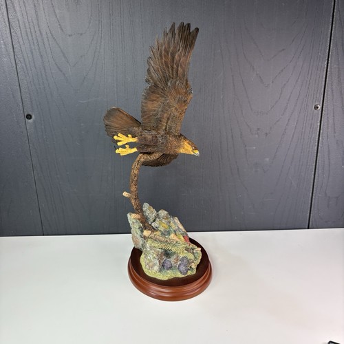 Border fine arts flying eagle - arts,