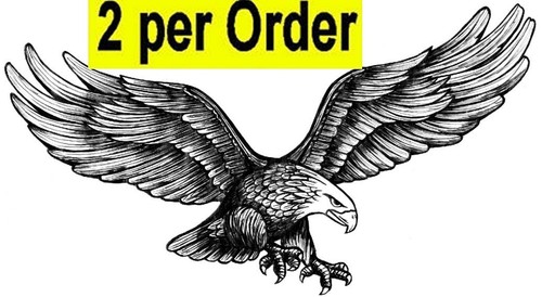 Flying eagle temporary fake - eagle,