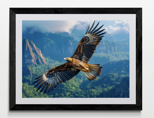 Flying eagle bird framed - flying,