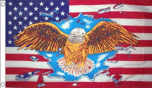 Usa eagle flag 3 - flag, 3'