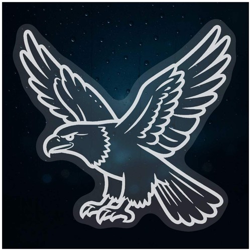 Flying eagle static - static, window