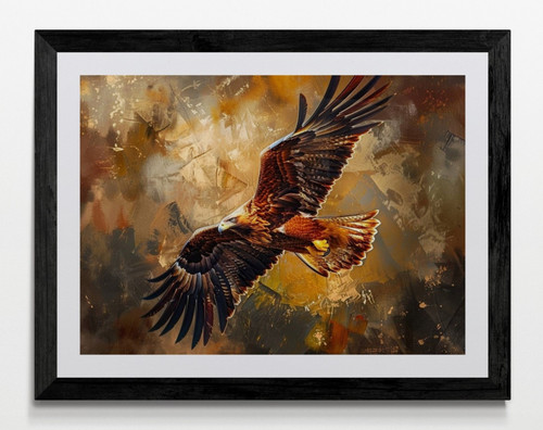 Flying eagle bird - flying,