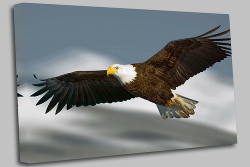 Wall art large animal flying - animal,