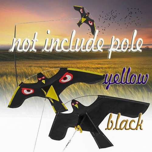 Large flying eagle kite bird - kite,