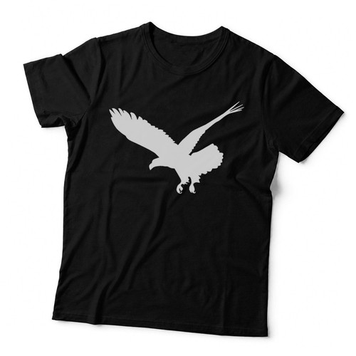Beautiful black flying eagle - beautiful,