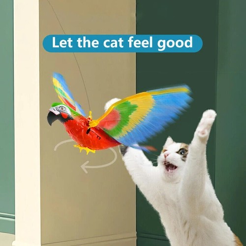 Interactive simulation bird - interactive,