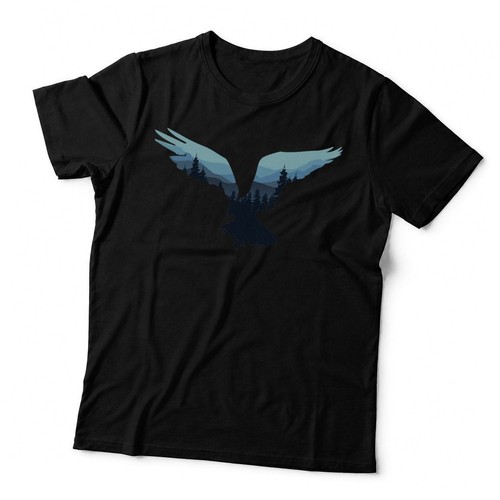 Beautiful flying eagle night - beautiful,