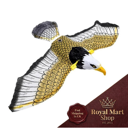 Flying eagle bird - eagle,