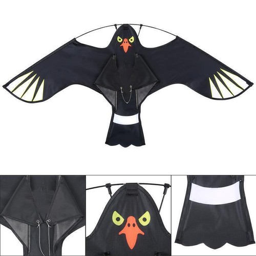 Large flying eagle - kite, bird